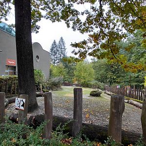 Hippo outdoor exhibit
