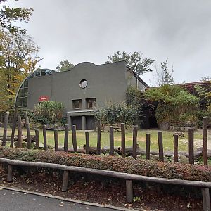 Hippo outdoor exhibit