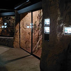 Tanganyika house - nocturnal section