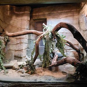 Yet unoccupied exhibit