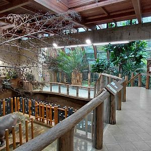 Tanganyika house - indoors