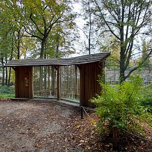 Wanderu - Outdoor macaque exhibit