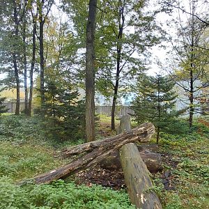 Wanderu - Outdoor macaque exhibit