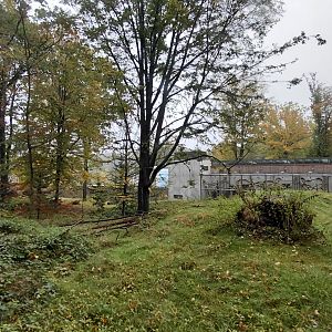 Wanderu - Outdoor macaque exhibit