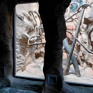 Wanderu - Indoor macaque exhibit