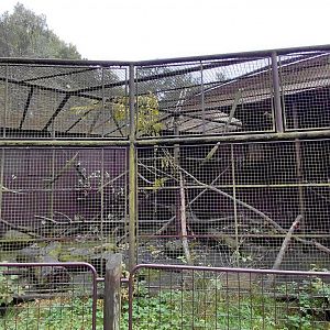 Diana monkey cage