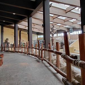 Elephant house - indoors