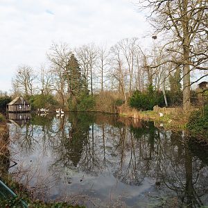 Dalmatian pelican pond, 2024-03-04