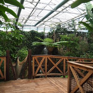 View in the orangutan greenhouse, 2024-03-04