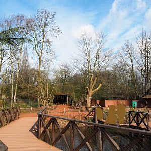 View in the Australian area, from the boardwalk near the first cassowary exhibit towards the macropods and the Tasmanian devils, 2024-03-04