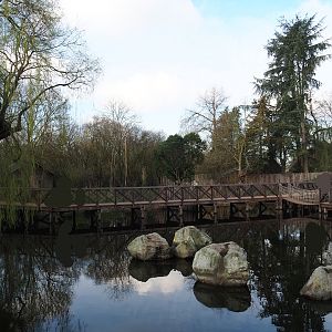Pond in the Australian area with boardwalks next to the cassowary exhibits, 2024-03-04