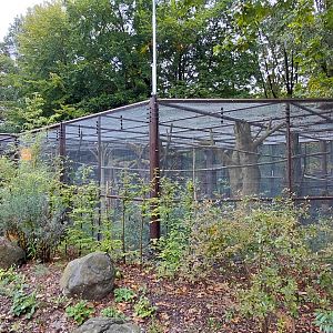 Papua walkthrough aviary