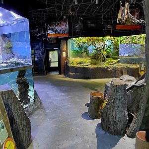 Papua house - indoors