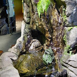 Papua - rainbowfish exhibit