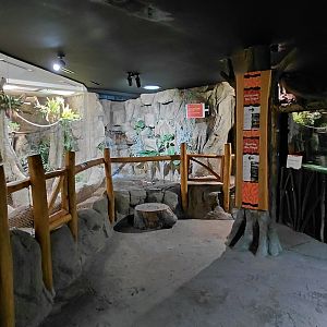 Little Amazon house - indoors