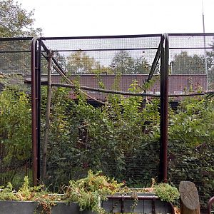 Tamarin outdoor exhibit