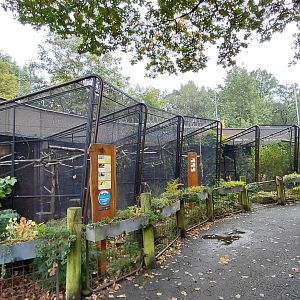 Row of aviaries