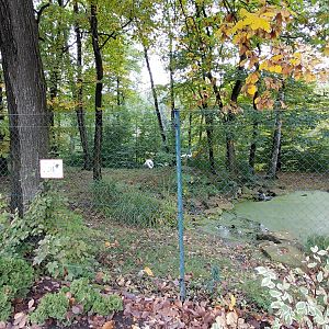 Siberian crane exhibit