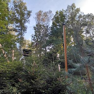 White-tailed eagle aviary