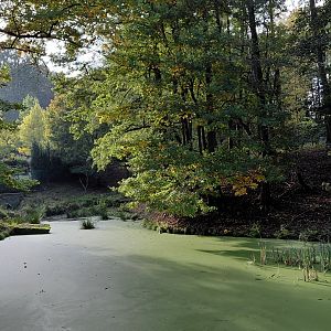 Vietnamese sika deer exhibit