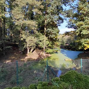 Vietnamese sika deer exhibit