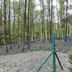 Vietnamese sika deer exhibit