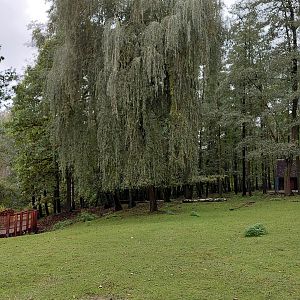 Vietnamese sika deer exhibit