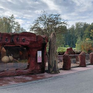 Tsavo - dwarf mongoose exhibit