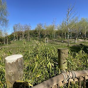 Malayan tapir enclosure