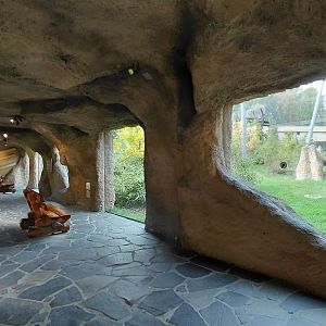 Chimpanzee exhibit - outdoor viewing area