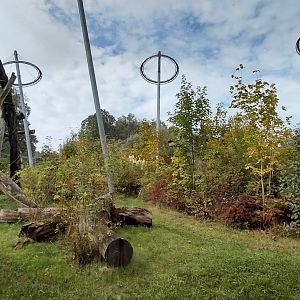 Chimpanzee outdoor exhibit