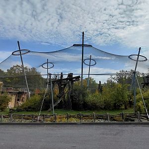 Chimpanzee outdoor exhibit