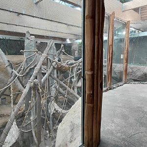 Chimpanzee indoor exhibit
