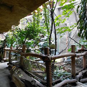 Inside the House of Evolution