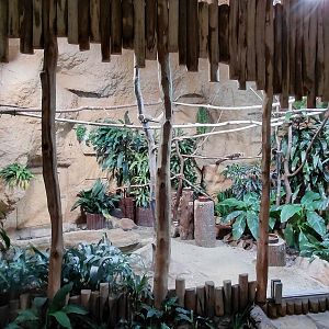 House of Evolution - indoor bird exhibit