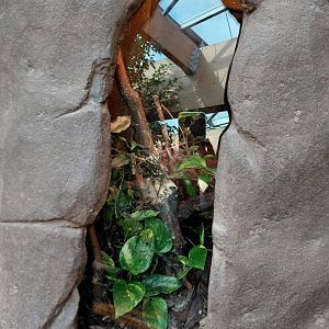 House of Evolution - beetle exhibit