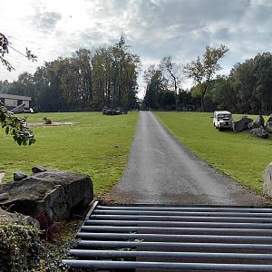 African savannah exhibit