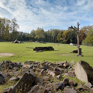 African savannah exhibit