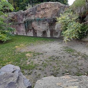 Tortoise outdoor exhibit