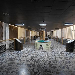 Indoor African ungulate exhibits