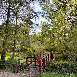 Lemur island - walkthrough exhibit