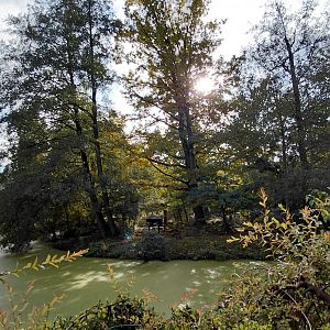 Lemur island - walkthrough exhibit