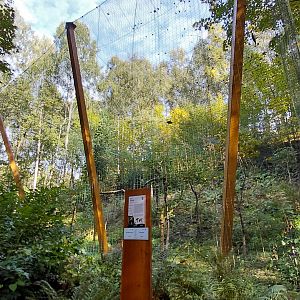 White-tailed eagle aviary