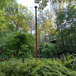 Steller's sea eagle aviary
