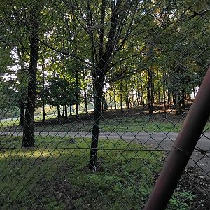 Asian ungulate exhibit