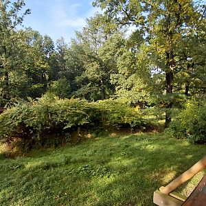Visayan spotted deer exhibit