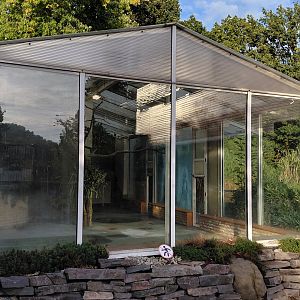 American flamingo indoor exhibit