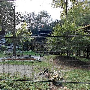 Waldrapp + vulture aviary