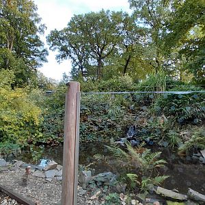 (Walkthrough) crane exhibit