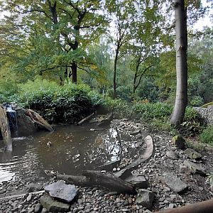 (Walkthrough) crane exhibit